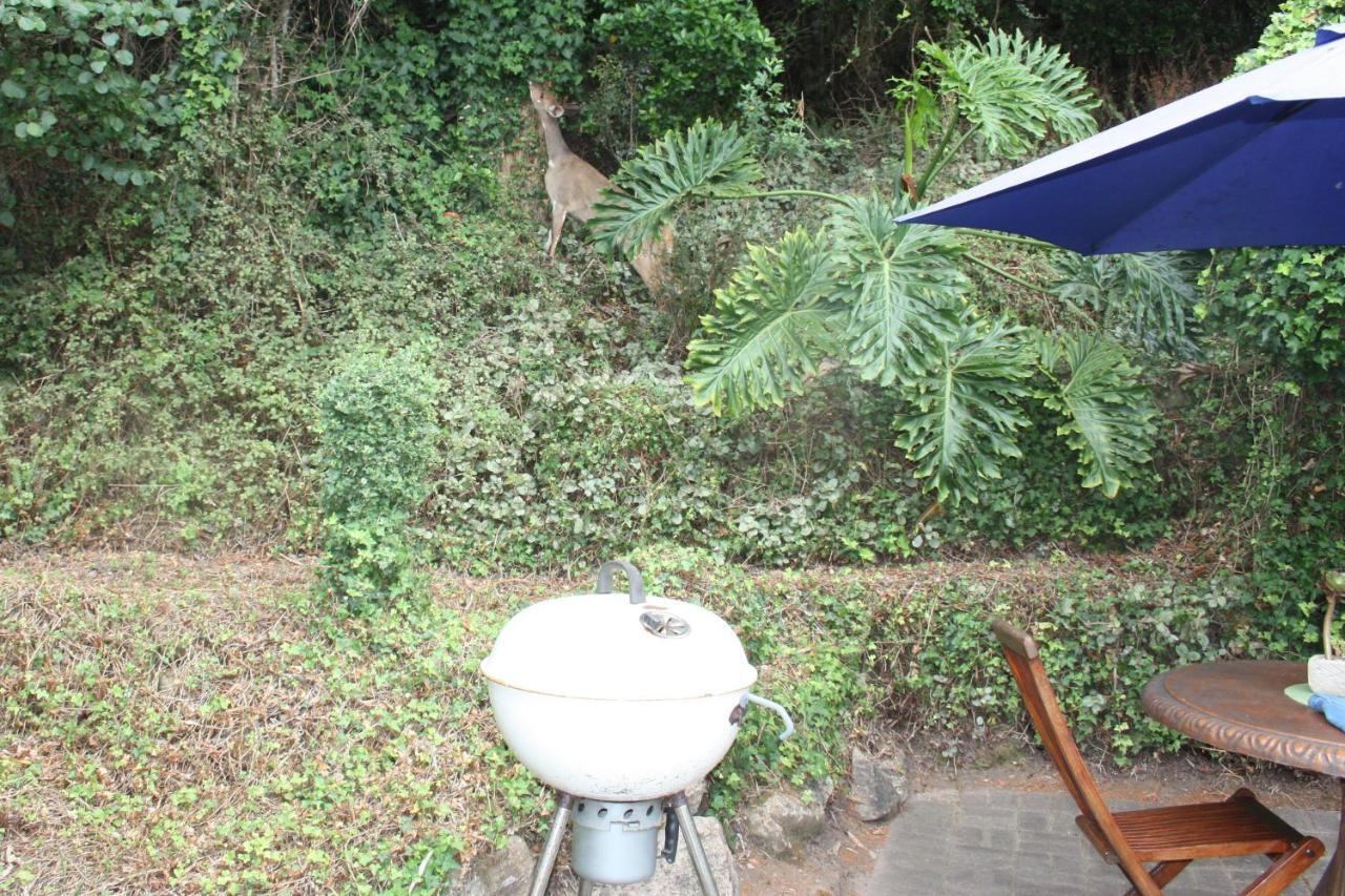 Cloverleigh Guest House Wildernis Exterior foto